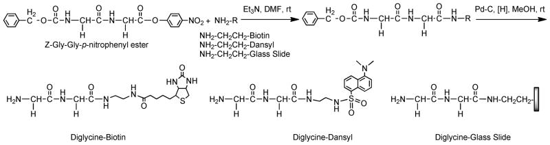 Scheme 1