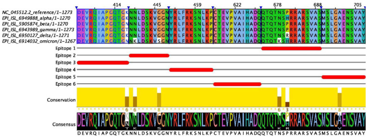 Figure 5.