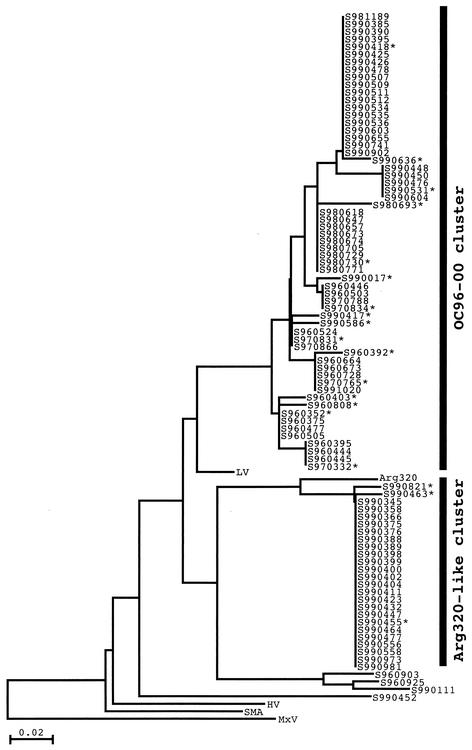 FIG. 2.