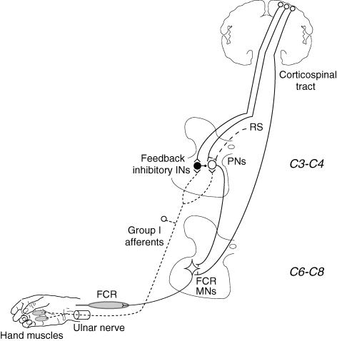 Figure 8