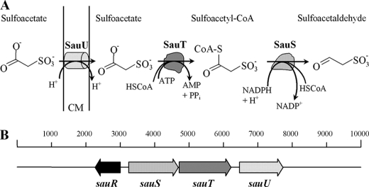 FIGURE 2.