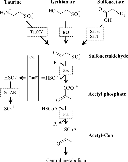 FIGURE 1.