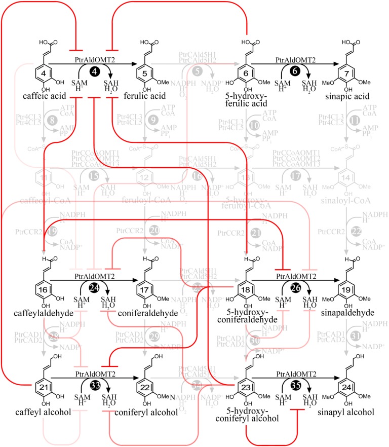 Figure 4.