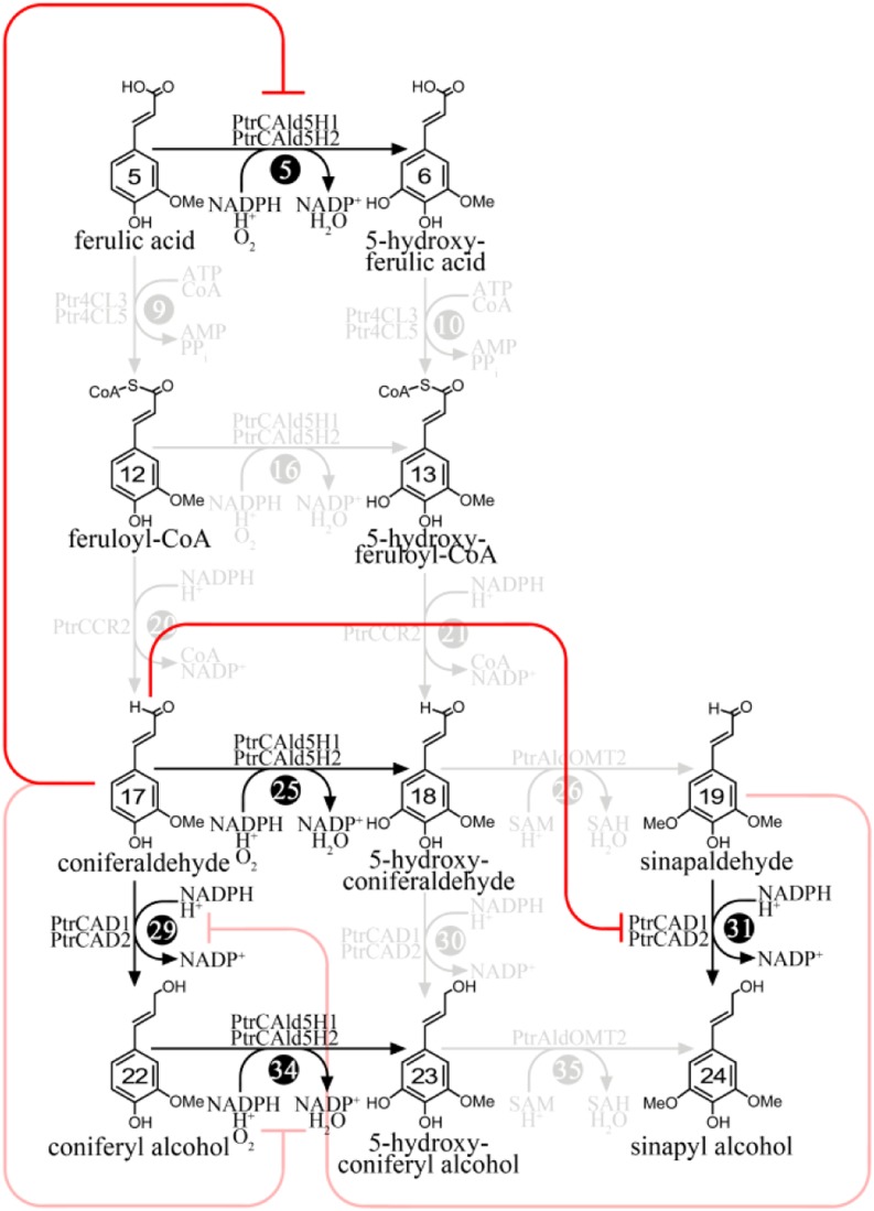 Figure 5.