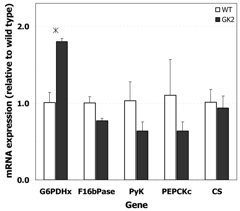 Fig. 10