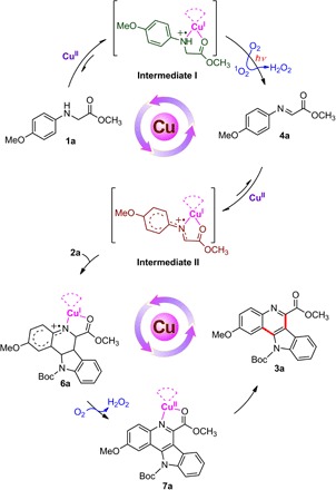 Scheme 3