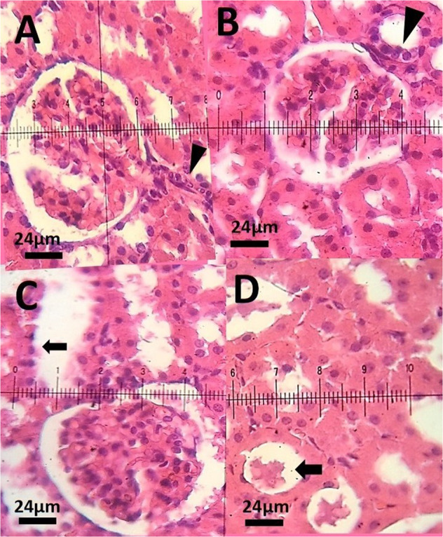 Fig. 10