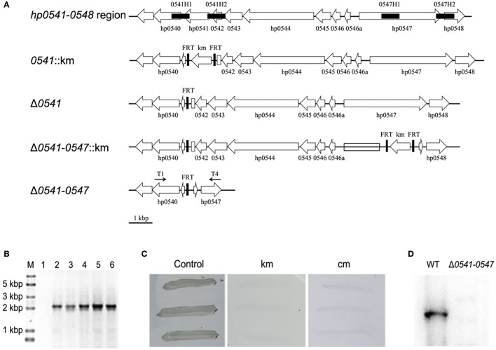 Figure 7