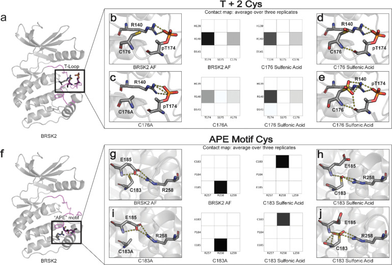 Figure 6: