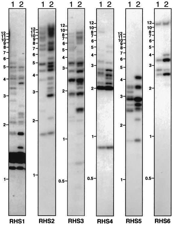 FIG. 8.