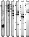 FIG. 8.