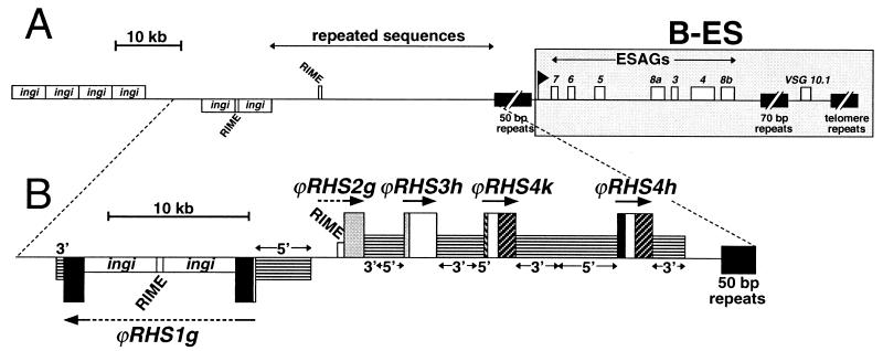 FIG. 9.