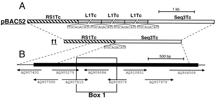 FIG. 10.