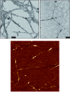 Fig. 10