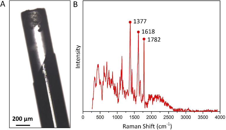 Fig. 4.