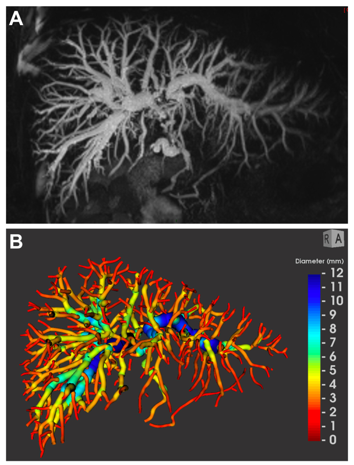 Fig. 1