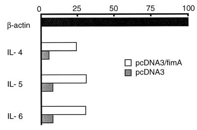 FIG. 6