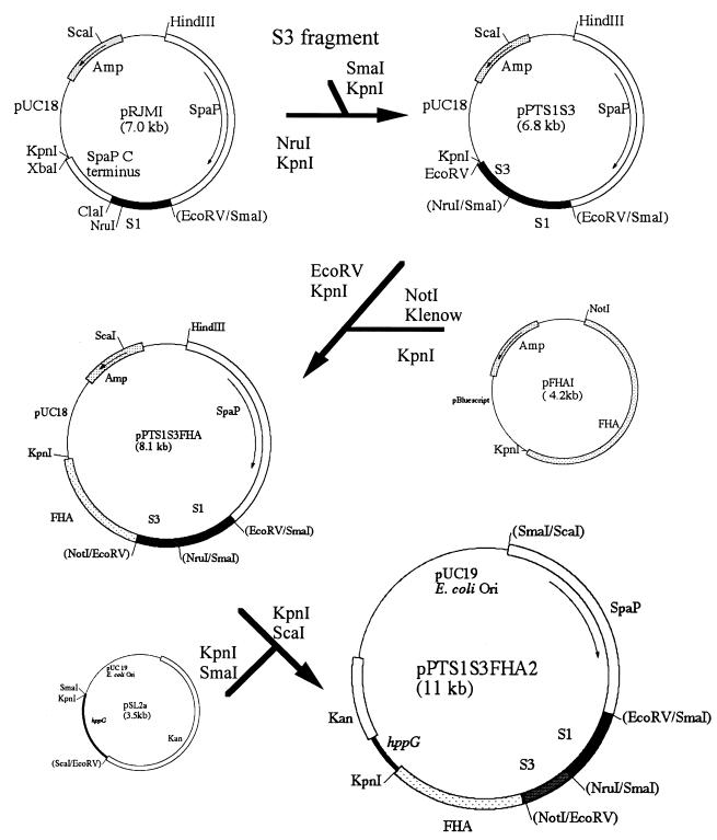 FIG. 1.