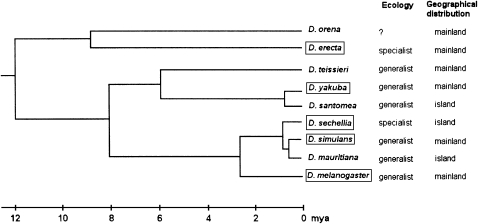 Figure 1.—