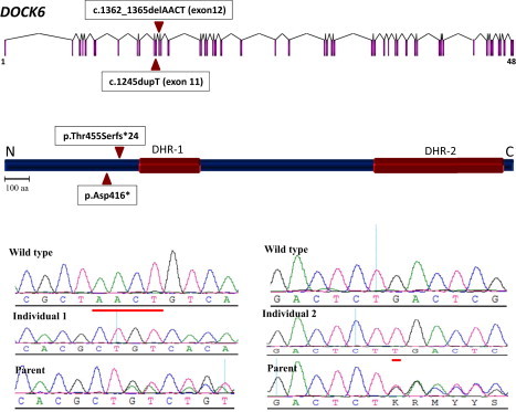 Figure 2