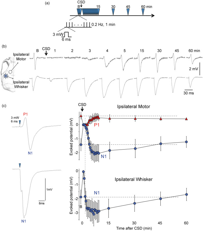 Figure 6.