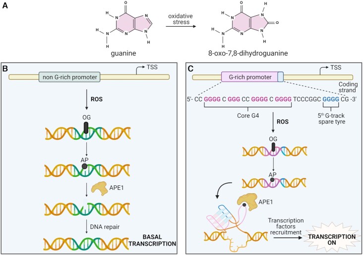 Figure 6.