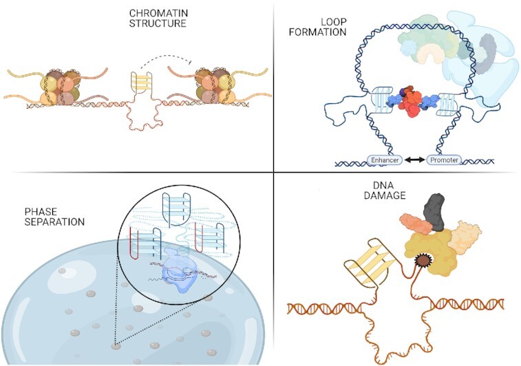 Graphical Abstract