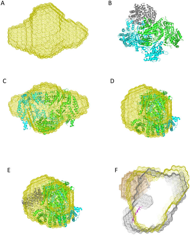 Figure 6