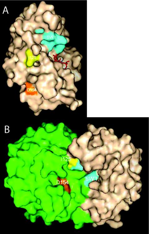 FIG. 9.