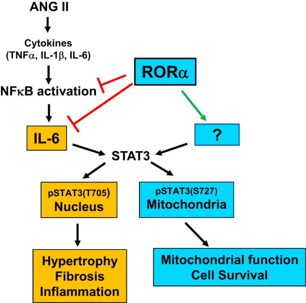 Fig. 8.