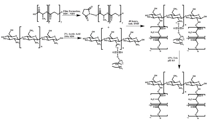 Scheme 2