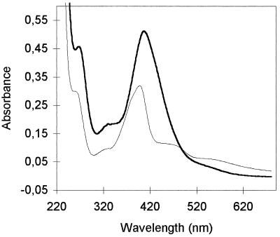 FIG. 5