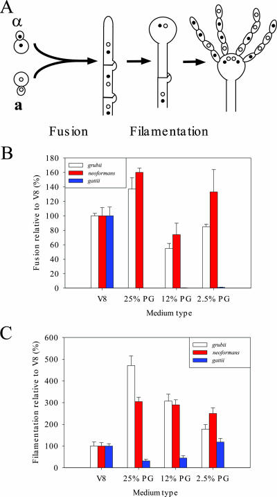 FIG. 5.