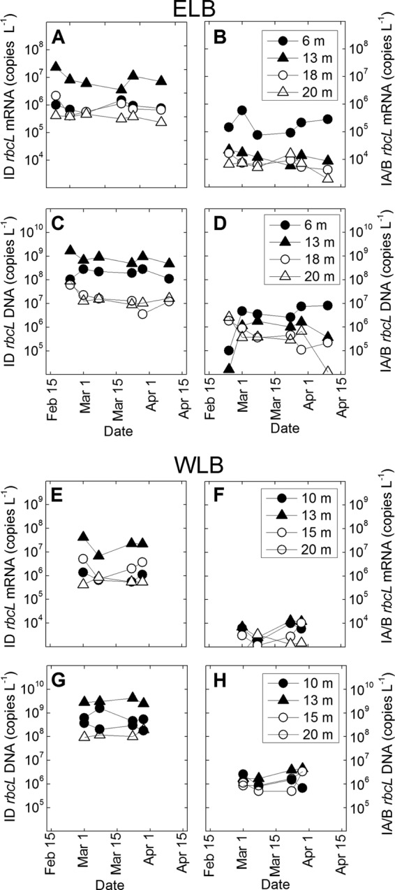 Fig 5