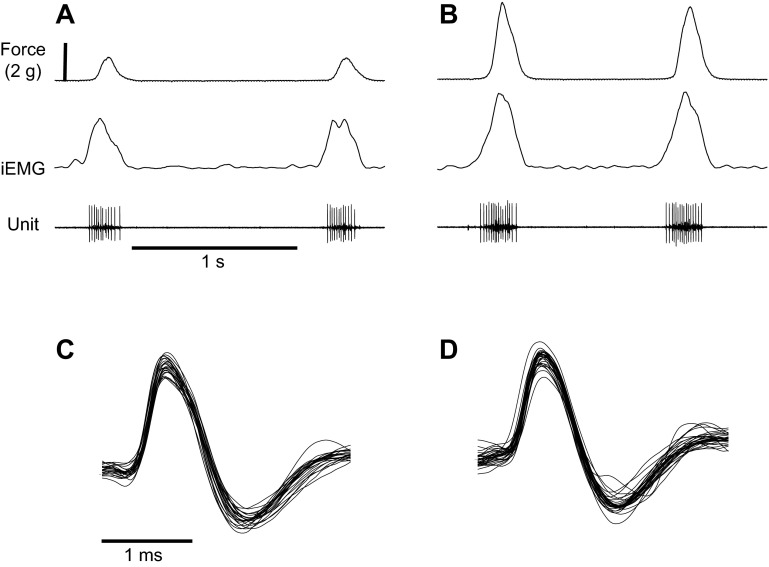 Fig. 1.