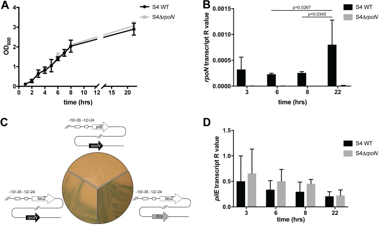 FIG 3