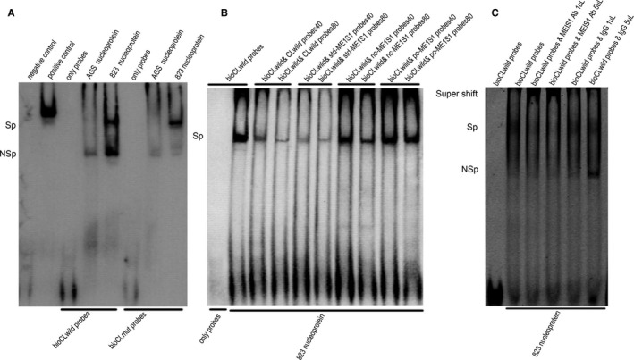 FIGURE 3