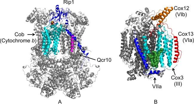 Fig 2