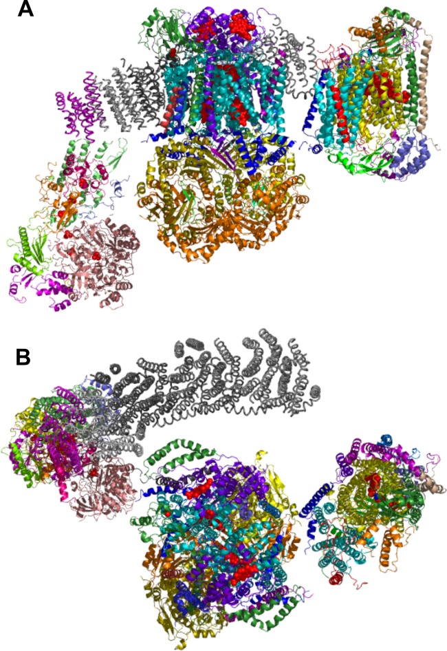 Fig 1