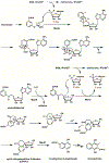 Scheme 39