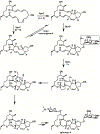 Scheme 23
