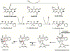 Scheme 11
