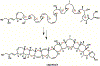 Scheme 20