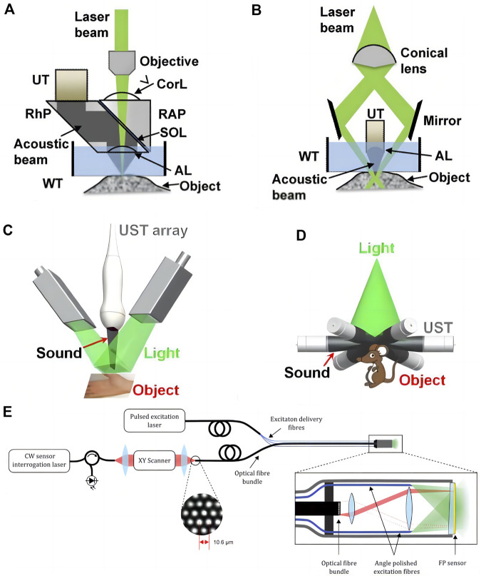 FIGURE 1