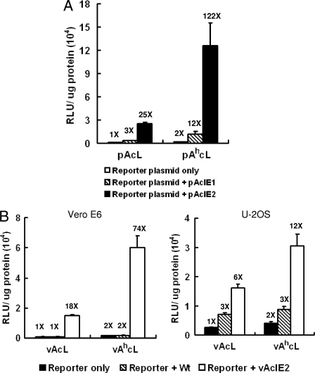 FIG. 1.