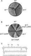 FIG. 4.