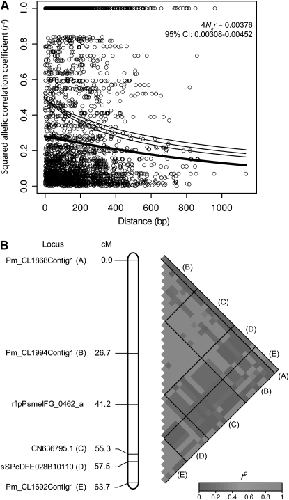 Figure 2.—