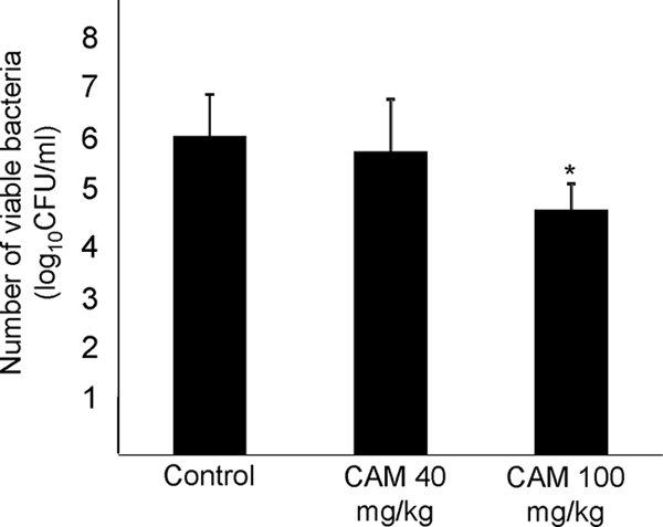 FIG. 1.