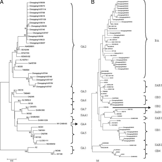 FIG. 2.