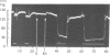 Fig. 8